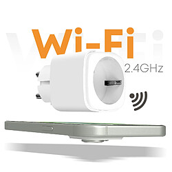 Avis Avizar prise connectée WiFi type E