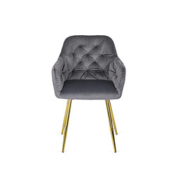 VIVALDI Chaise RAYA - Gris Velours