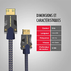 Câble antenne
