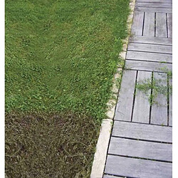 Désherbant thermique Provence Outillage