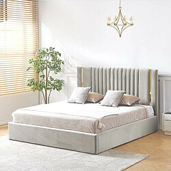 MEUBLER DESIGN Lit Coffre Kaufman - Velours Gris 180x200 cm