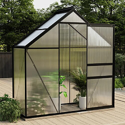 VIDAXL Serre 1,33 m² en aluminium anthracite