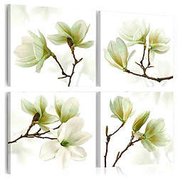 Artgeist Admiration of Magnolia - 40x40 cm