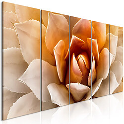 Artgeist Agave - 5 Parts Narrow Orange [225x90]