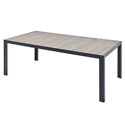 Concept Usine Table de jardin 10 places en alu et plateau effet bois LAGOS