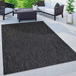 Paco-Home Tapis PACO_HOME extérieur - Gris foncé