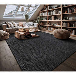 Paco-Home Tapis PACO_HOME extérieur - Gris foncé
