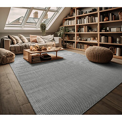 Paco-Home Paco Home Tapis Extérieur - Gris