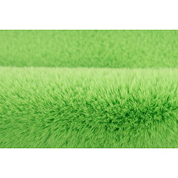 Avis Paris prix Lovely Star - 60x63 cm - Vert