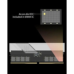Avis Acer Predator Vesta II RGB 32Go 6000MHz DDR5