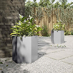 Acheter vidaXL Jardinières 2 pcs Hexagone