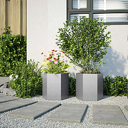 Avis vidaXL Jardinières 2 pcs Hexagone