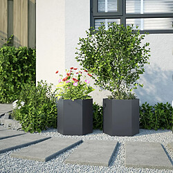 Avis vidaXL Jardinières 851113 - Anthracite