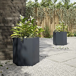 Acheter vidaXL Jardinières 851113 - Anthracite
