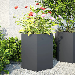 vidaXL Jardinières 851113 - Anthracite Lot de 2 jardinières hexagonales en acier - 46 x 40 x 45 cm