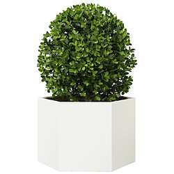 Avis VidaXL Hexagone 69x60 cm - Blanc
