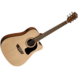 Washburn AD5CE