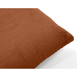Coussin d'intérieur