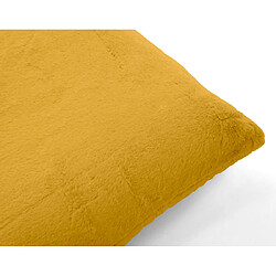 Coussin d'intérieur