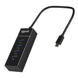 IGGUAL Hub USB IGG319239