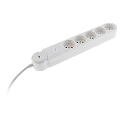 Rallonge domestique Zenitech
