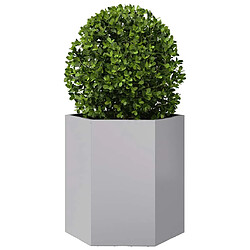 Avis vidaXL Jardinière hexagone en acier galvanisé