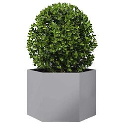 Avis vidaXL Jardinière hexagone acier