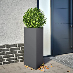 Vidaxl vidaXL Jardinière 40x34,5x70 cm - Anthracite Jardinière triangulaire en acier - 40 x 34,5 x 70 cm - Résistante à la rouille et à l'usure - Anthracite