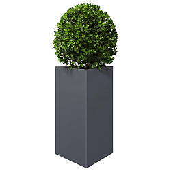 Avis vidaXL Jardinière Triangulaire - Acier