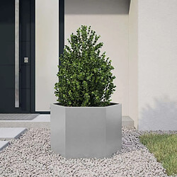 vidaXL Jardinière hexagone acier