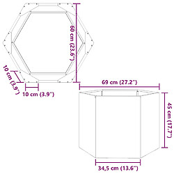 vidaXL Jardinière hexagone acier pas cher