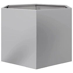 Acheter vidaXL Jardinière hexagone acier