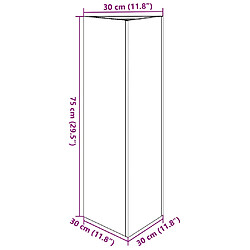 VIDAXL Jardinière triangulaire - 30x26x75 cm acier pas cher