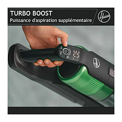 Avis Hoover HF9 Pet - Vert