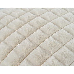 Coussin d'intérieur