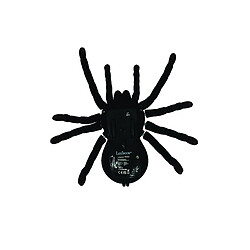 Lexibook Tarentule télécommandée