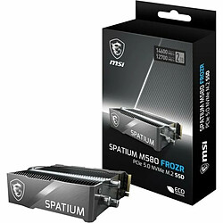 MSI Spatium M580 - 2 To