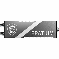 MSI Spatium M580 - 2 To