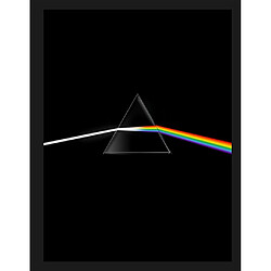 Pink Floyd : their mortal remains - Occasion