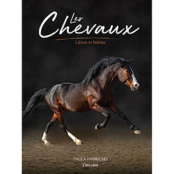 Les chevaux : libres et fidèles - Occasion