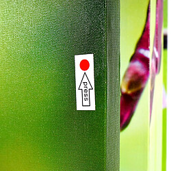 Décoshop26 Orchidée 04_0008631