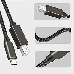Acheter INF Câble d'imprimante USB-B vers USB-C - Noir 2m