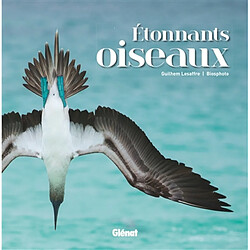 Etonnants oiseaux - Occasion