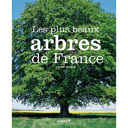 Les plus beaux arbres de France - Occasion