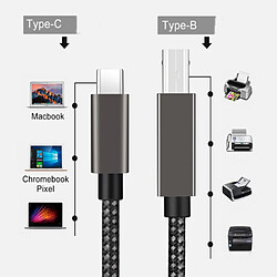 INF Câble d'imprimante USB-B vers USB-C - Noir 2m pas cher