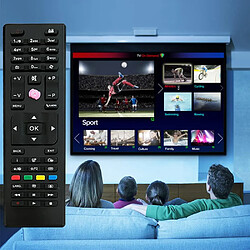 SANAG Remplacement Telefunken RC4875