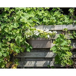 Avis Jardinière plastique - Taupe