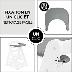 HAUCK Plateau Alpha Click Tray - Gris