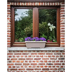 Acheter Jardinière rectangulaire - Taupe