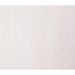 Decoshop26 Étagère d'angle - Blanc